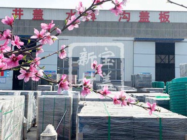 花滿枝頭，春意盎然